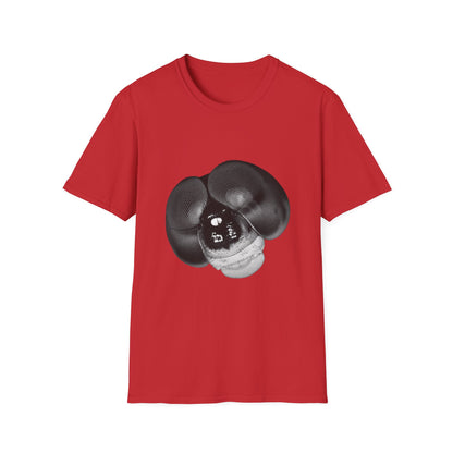 Fly Graphic T-Shirt